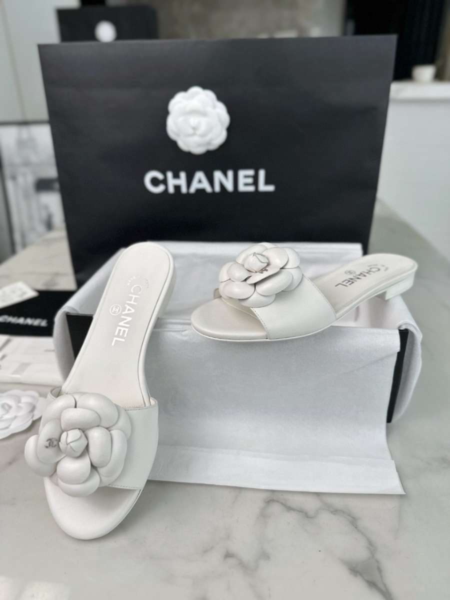 더미러THE Mirror_사진_20260316_3.jpg