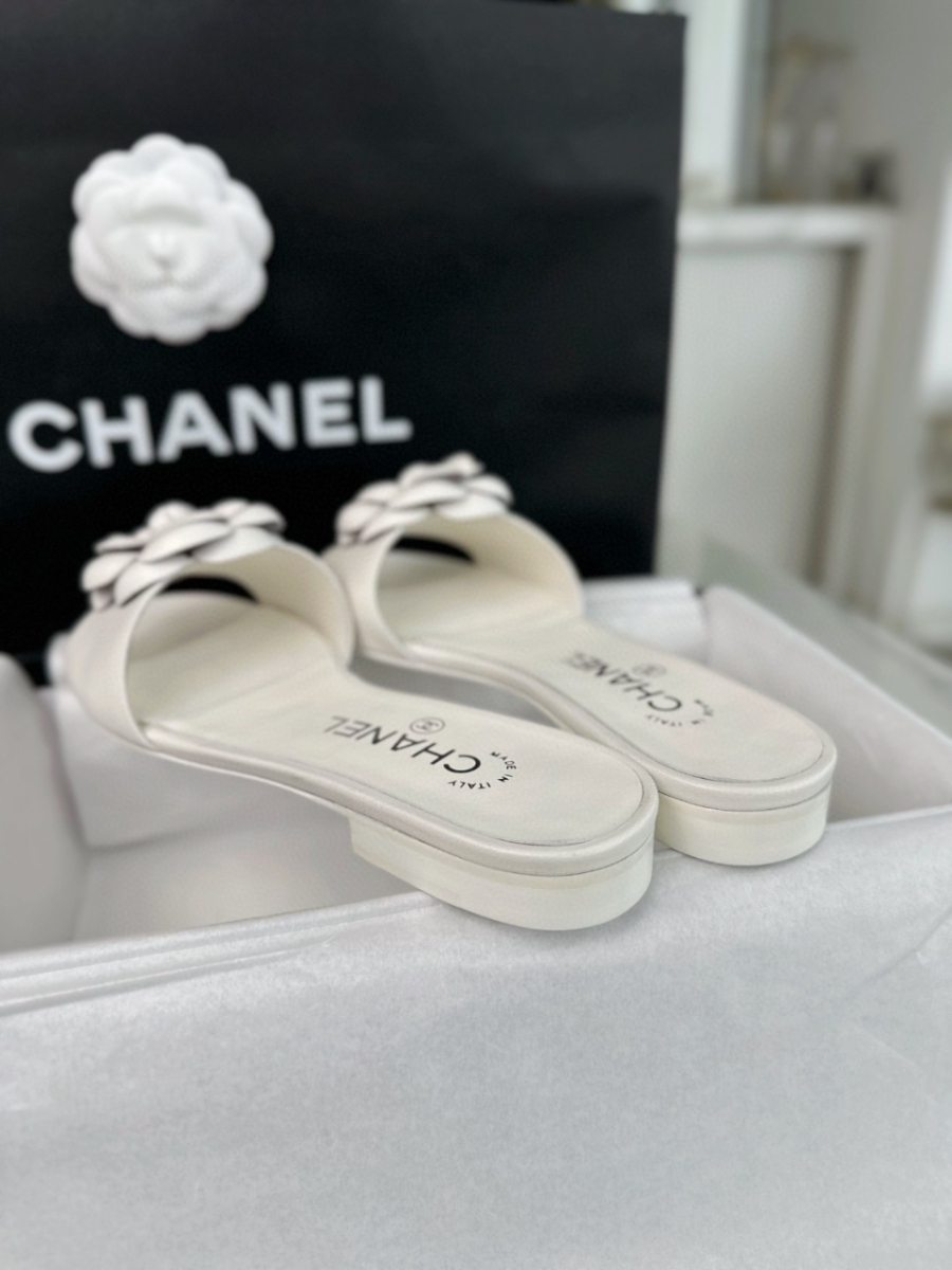 더미러THE Mirror_사진_20260316_8.jpg