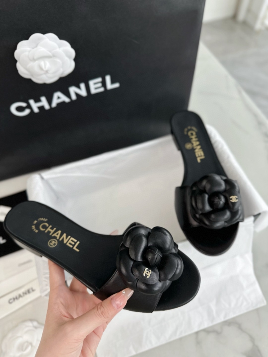 더미러THE Mirror_사진_20260316_3.jpg