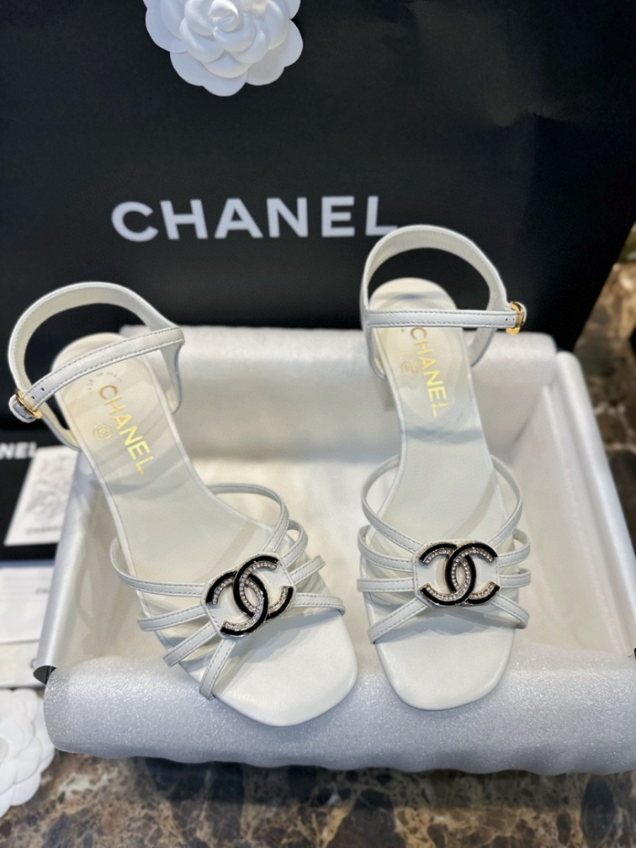 더미러THE Mirror_사진_20260316_2.jpg