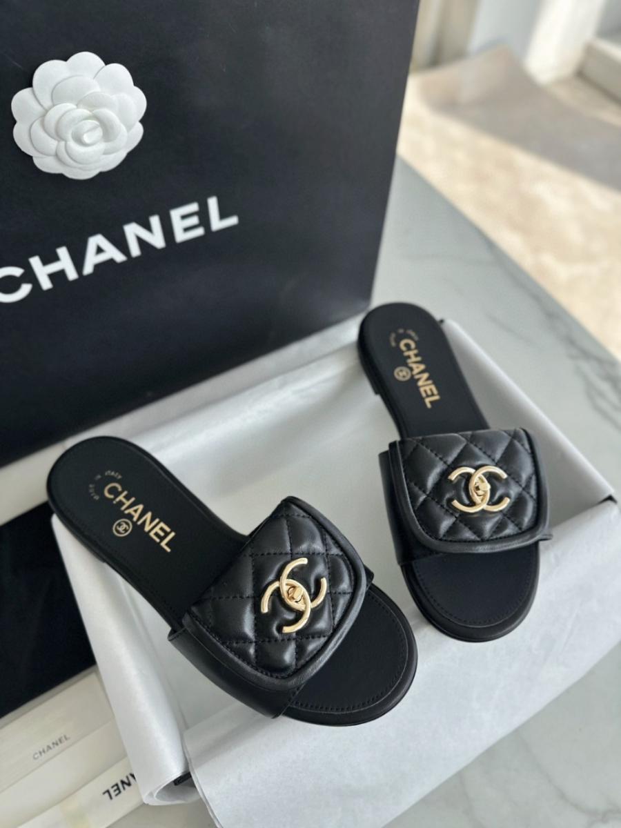 더미러THE Mirror_사진_20260316_5.jpg